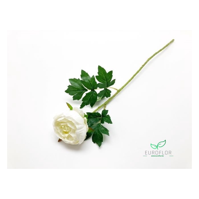 <h4>SILK FLOWERS - PEONY CREAM</h4>