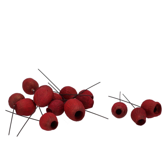 <h4>Pick Nature Eucalyptus Bells Red P/100</h4>