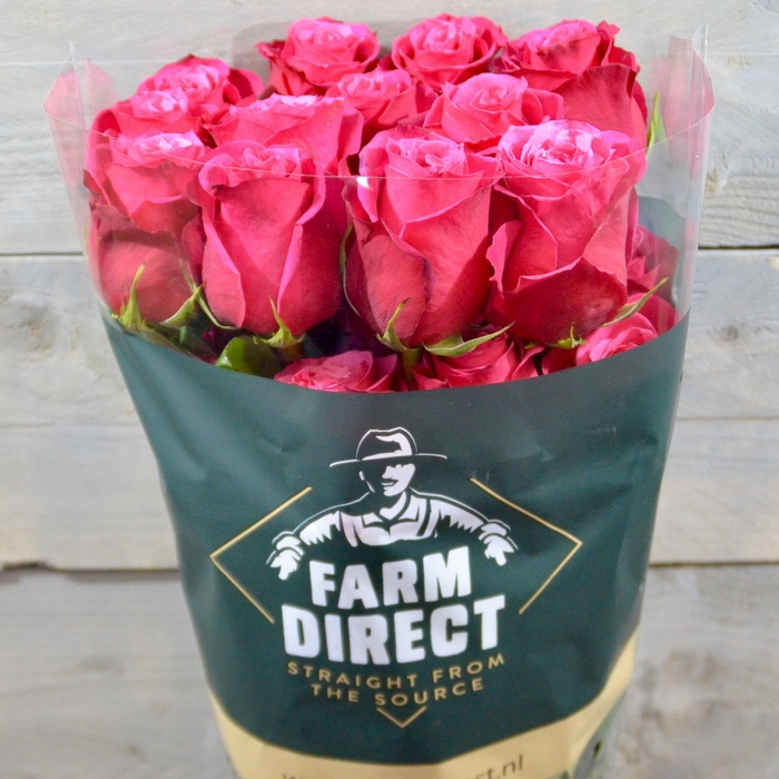 <h4>R Gr Cherry O</h4>