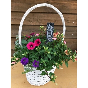 Tuinplanten Mix in een witte hengselmand