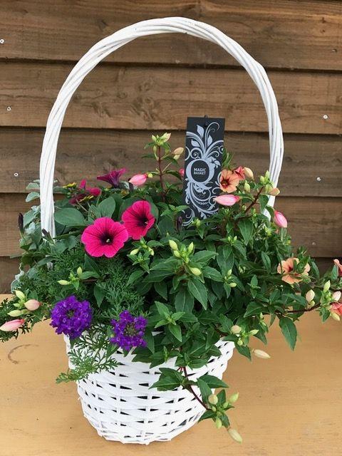 <h4>Tuinplanten Mix in een witte hengselmand</h4>