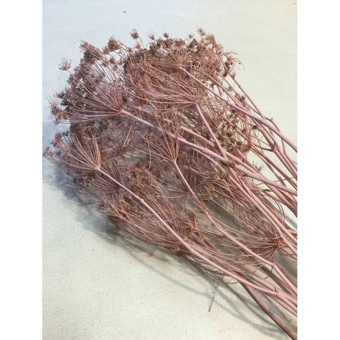 <h4>DRIED FLOWERS - BESBESTWIJGEN LIGHT PINK</h4>