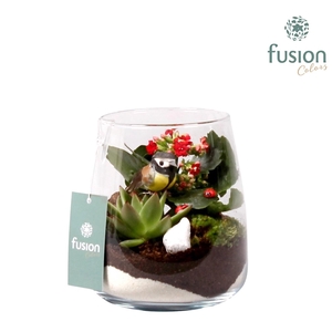 Glas Alzada met Arrangement