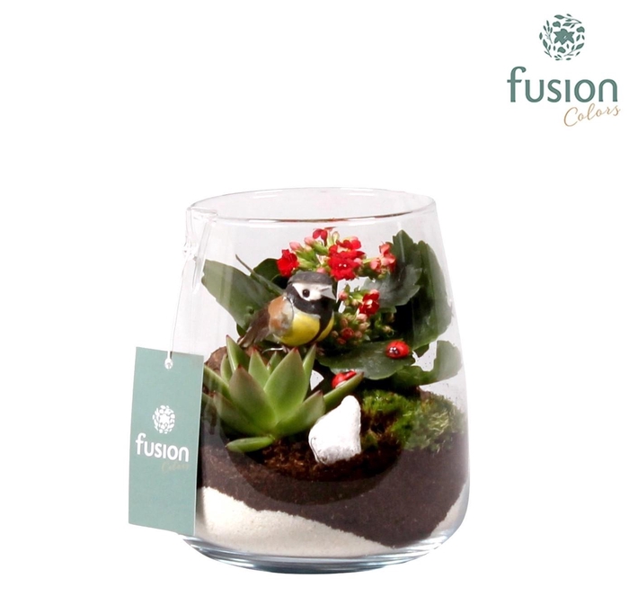 <h4>Glas Alzada met Arrangement</h4>