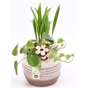 Keramiek sierpot bruin/creme 14cm