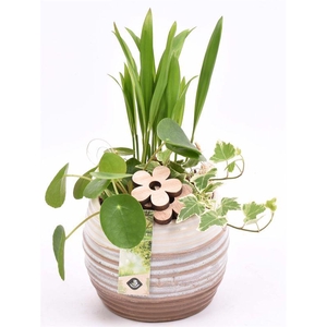 Keramiek sierpot bruin/creme 14cm