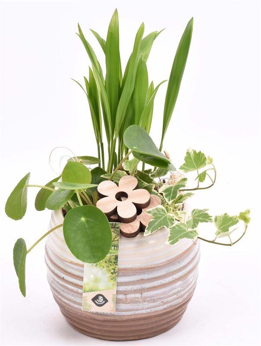 <h4>Keramiek sierpot bruin/creme 14cm</h4>