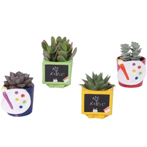 Thank you Teacher Arr. Succulent Ceramic Pot Teachermix Ø11cm