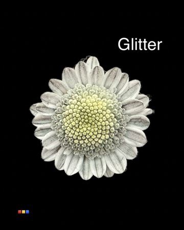 Chr T Stallion Dusty Grey + Glit Bio