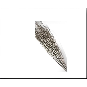 DF Moti Stck Bs/10 60cm Bleach