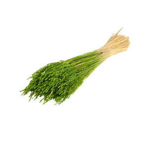 Rice Green
