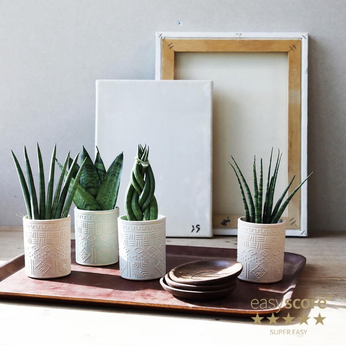 <h4>Maya Creations 6cm</h4>