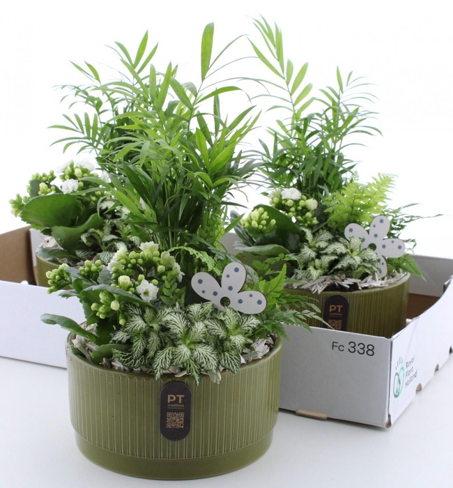 <h4>ARR KAMERPL</h4>