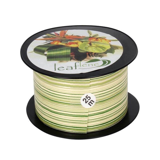 <h4>Leaf ribbon 75mmx25mtr cream /green 02</h4>