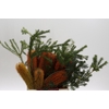Banksia Ericifolia