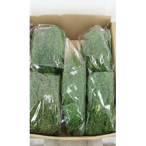Moss Tillandsia Green 500gr