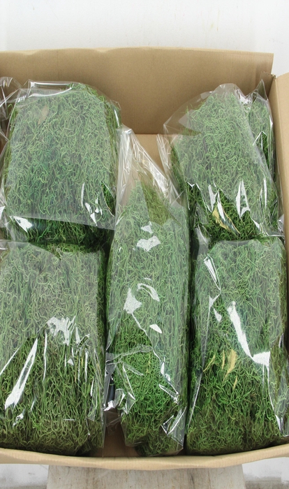 <h4>Moss Tillandsia Green 500gr</h4>