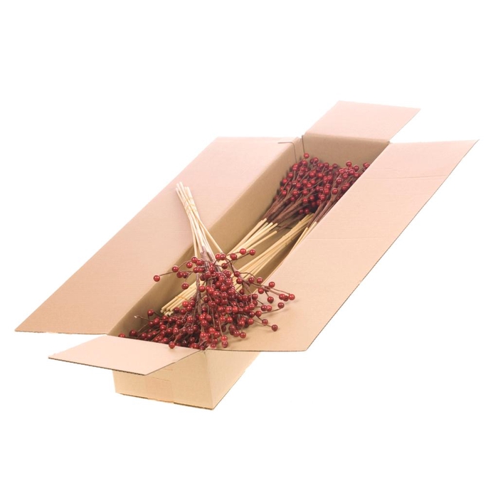<h4>Ilex Berry O/s 10pc Sb Red Spring</h4>