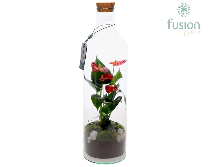 <h4>Green Bottle Fles Large met Anthurium</h4>