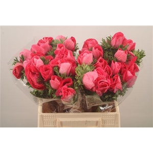 Anem Mistral Shocking Super