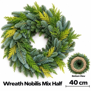 ABIES NOBILIS BLAUW