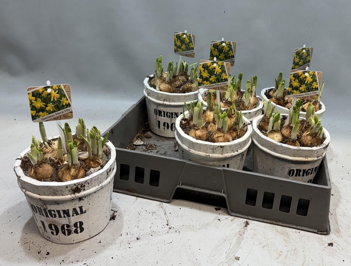 <h4>ARR N TETE A TETE</h4>