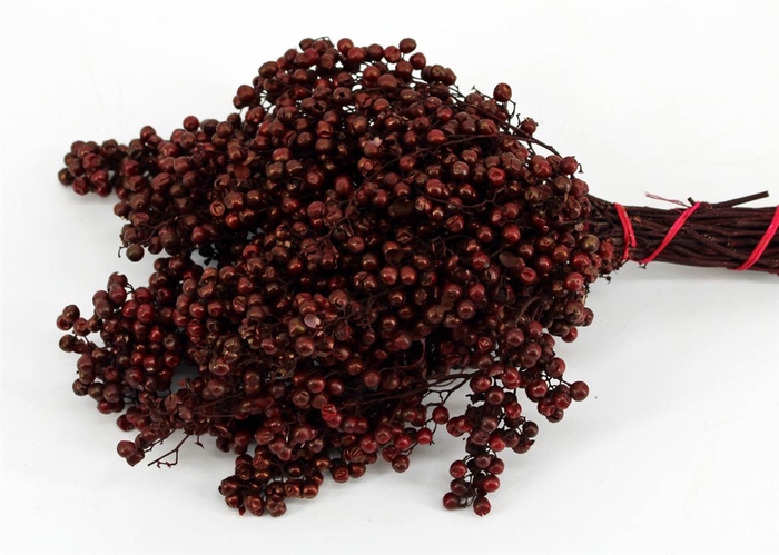 <h4>Schinus M Pt Maroon Bunch</h4>