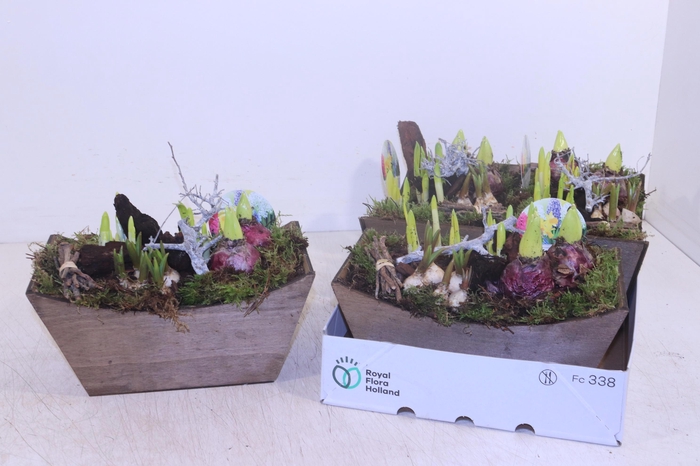 <h4>ARR BOL KNOLGEWAS</h4>