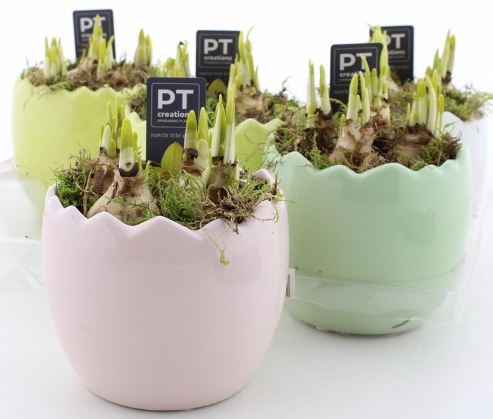 <h4>ARR N TETE A TETE</h4>