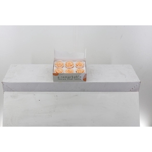 Rosa Preserved Peach