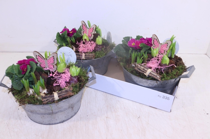 <h4>ARR TUINPLANTEN</h4>