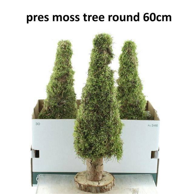 <h4>MOSSEN OV H%</h4>