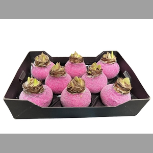 AMARYLLIS WAX GLIT - FUCHSIA