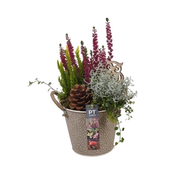 <h4>PTHO4094 Arrangement Herfst Outdoor in metalen pot</h4>
