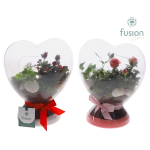 Green Bottle Glazen Hart met Arrangement