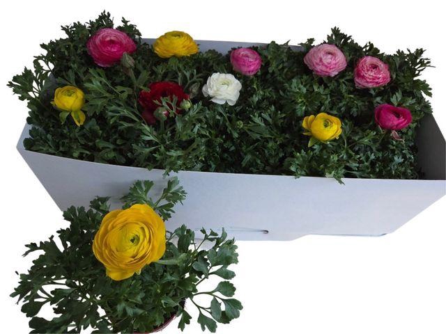 <h4>Ranun Sprink Gem</h4>