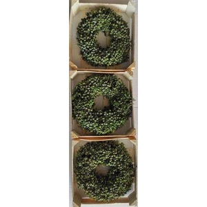 Wr Sierfruit Juniperus 30cm ( Melli)