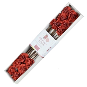 Sola Cabbage Rose 8cm O/s 12pc Red Spring
