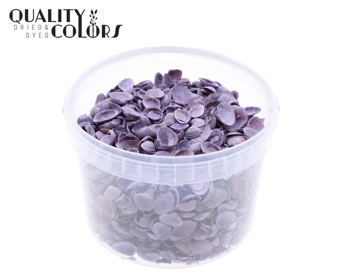 Shells north sea 3 ltr Frosted Milka