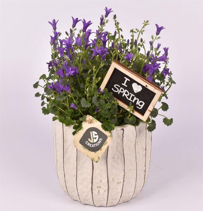 <h4>Cement pot ribbel ww16cm</h4>