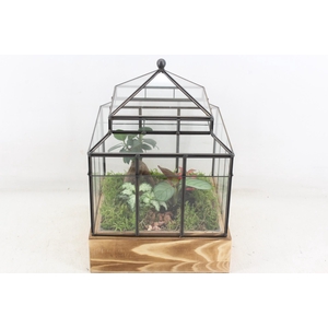 arr3 WR - Terrarium Wardian case one