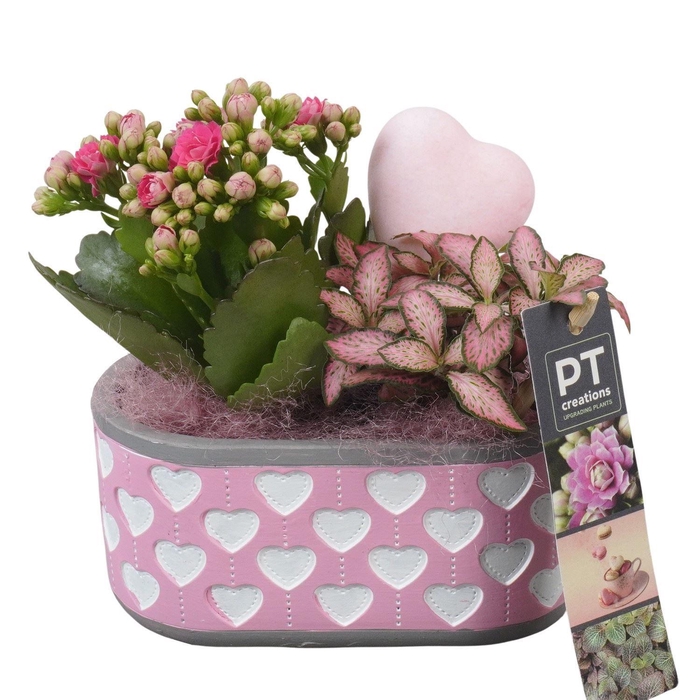 <h4>Arr.    Planten  L%</h4>