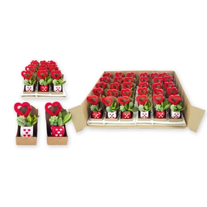 Arrangementen succulenten 6%