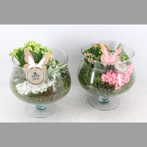 arr2 PL - Glas op voet x6 - roze/wit