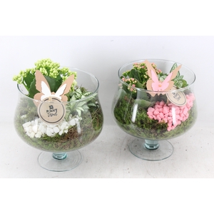 arr2 PL - Glas op voet x6 - roze/wit