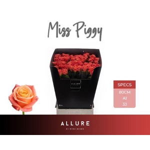 R GR MISS PIGGY+ ALLURE
