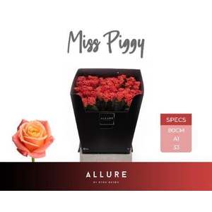 R GR MISS PIGGY+