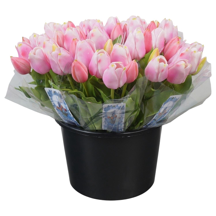 <h4>Decoratie  ..Kunstbloem H%</h4>