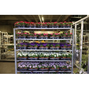 Verbe Drums 5kl Mixk 1 Klr Per Tray