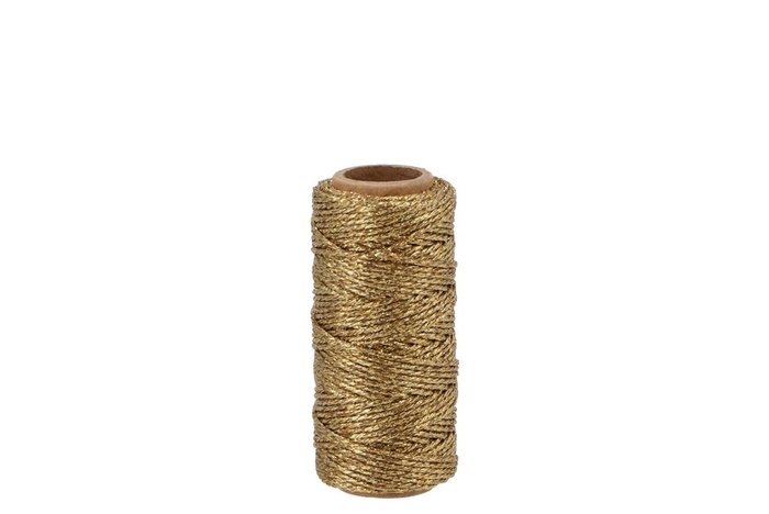 <h4>Ribbon Flashy Cord (nr.51) Gold 25mx1,5mm</h4>